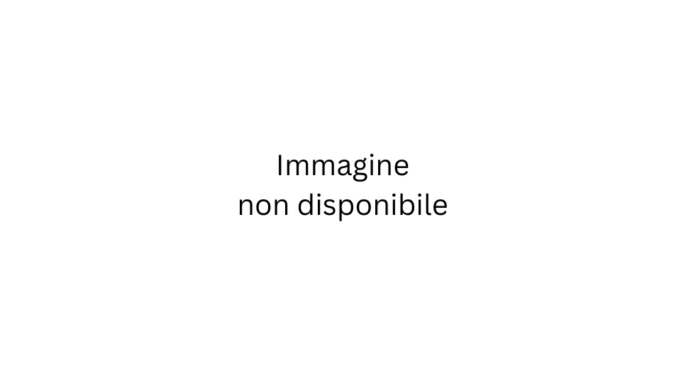 Vegetariano Delicato