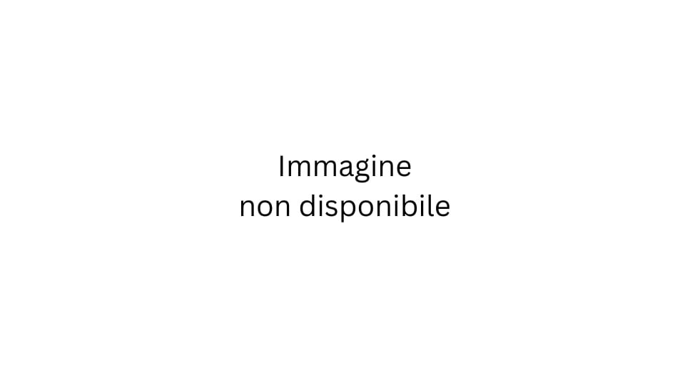 Vegetariano Delicato